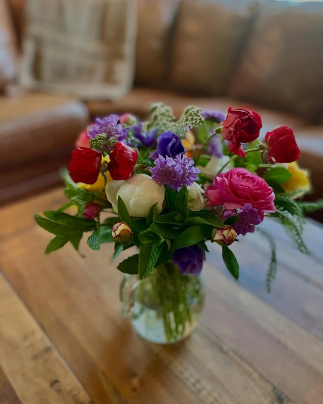 Peonies, ranunculus and roses are keeping things fancy around here while the sunflowers get ready to take over. Also the greenhouse dahlias are starting to bloom!! So yeah, it’s a good day.